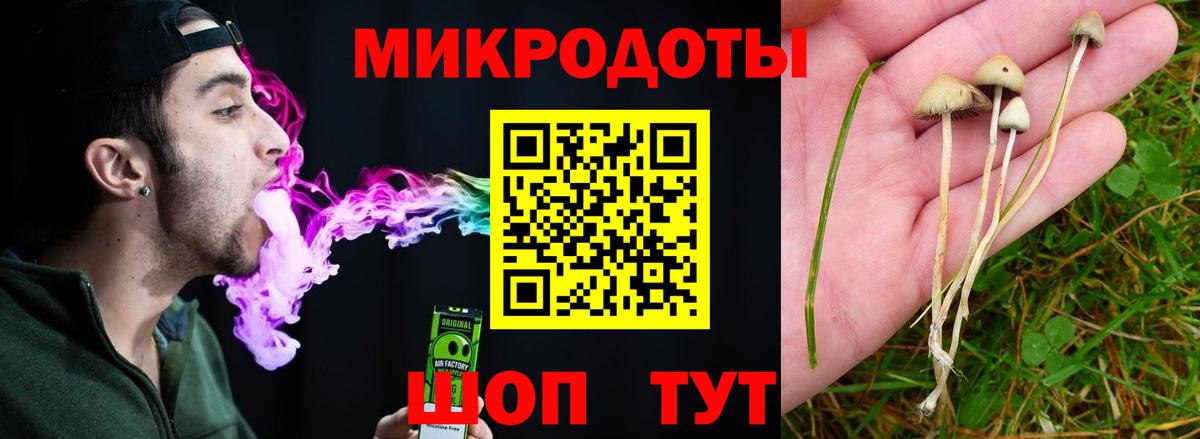 Галлюциногенные грибы Psilocybe Корсаков
